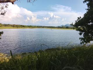 Sigiri Fortress View lodge - 5