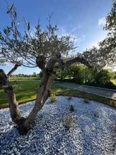Villa avec piscine proche mer pour 12 personnes - Bretagne - 9
