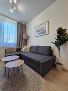 Apartmán NA SVAHU 3+KK, Dolní Morava - 9