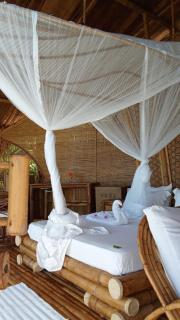 caveau des lemuriens - 2