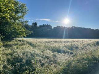 casa di campagna con sauna e biopiscina - 2