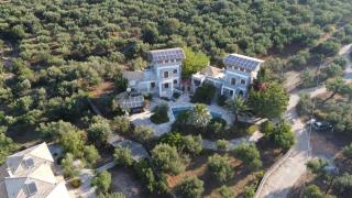 Eco-Wellness - 1