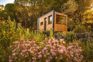 Homnest - Melodie Provencale - en Sainte-Baume - 0
