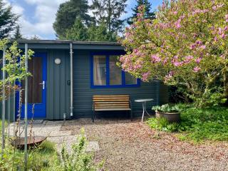Tiny House bei Mardorf am Steinhuder Meer - 1