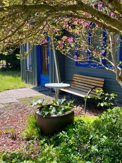 Tiny House bei Mardorf am Steinhuder Meer - 4