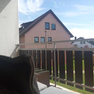 Komplette Wohnung Schwarzwaldpforte Casa BaLi direkte Buchung möglich keine Freigabe mehr erforderlich - Bad Liebenzell - 9