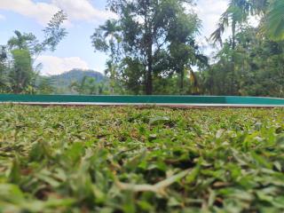 Tea land nature resort & eco cabana - 7