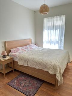 Apartamentai Vetrungiu g 3 - 2