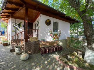 Pensiunea Beciul Vechi - 0