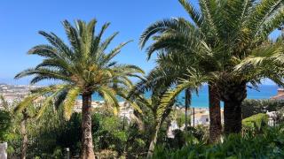 Rancho Miraflores Oasis - Málaga - 4