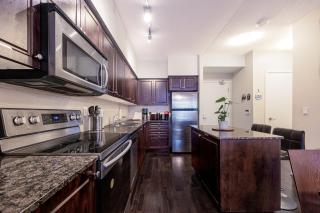 The Treehouse Downtown Toronto Condo! - 5