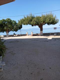Finikas - 9