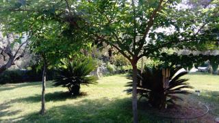 Villa Damis - Levanda - 7