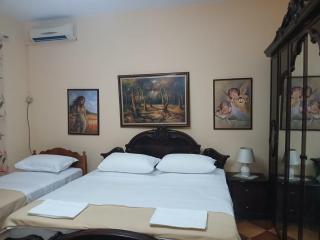 Roland Palaj House - 6