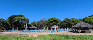 Happy Hippy Beach Cabanas Peanut Farm - 5