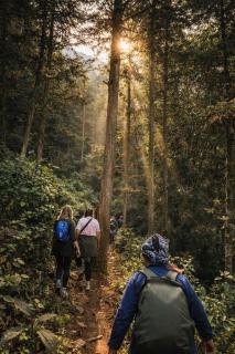 Surelee Homestay - 8