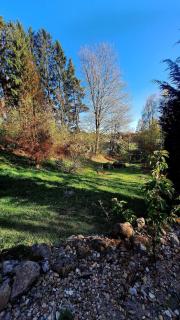 Hidden Rock Cottage - 5