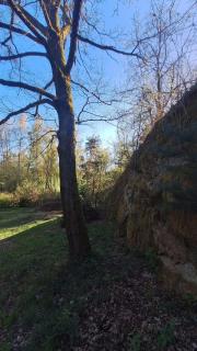 Hidden Rock Cottage - 3