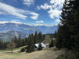 Chalet avec vue sur les Alpes au calme - Anzère - 1