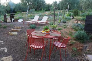 Cosmo Camp - 2