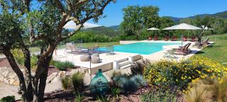 Lyfe Umbria - AURA - 0