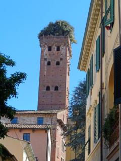 Borbo's house - Comfort nel centro di Lucca - 4