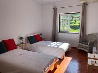 Miraculous Jungle Guest House, Quinta em atividade - 2