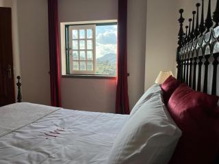 Miraculous Jungle Guest House, Quinta em atividade - 1