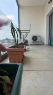 Ake Home - 4