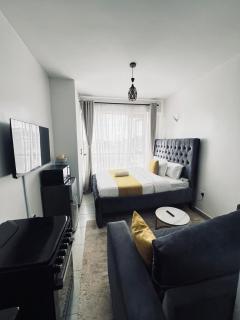 Vibrant studio apartment in the heart of Roysambu just behind Thika Road Mall - 0