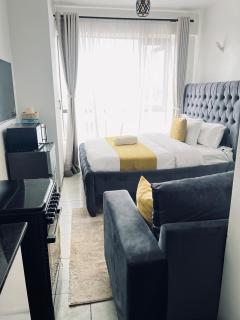 Vibrant studio apartment in the heart of Roysambu just behind Thika Road Mall - 8