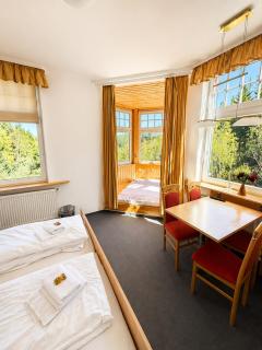 Waldgasthaus & Berghotel Steinerne Renne - Wernigerode - 9