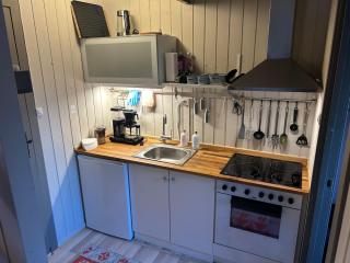Nice apartment at Golsfjellet - Gol - 7