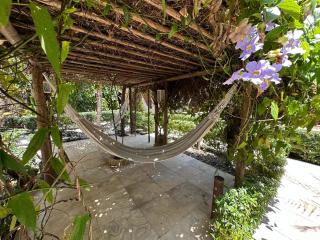 Oasis Tropical - 7