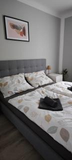 Ferienwohnung Alexander - 0