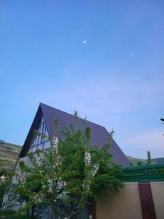 Shabran Pearl A-Frame - 8