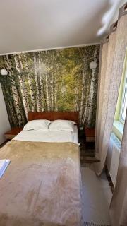 Pensiunea La Mesteceni -Zur Birke, Poiana Marului-Caras Severin - 7