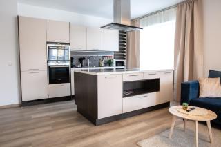 LINZ BASE SUITE Business and Family, 2Bedrooms and Workspace - 8