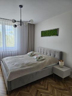 Apartament Black Madonna-Jasna Góra-Centrum - 4