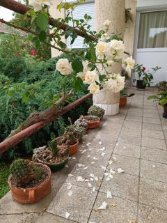 Ágnes Vendégház Recsk - 1