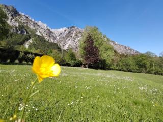 Relax al Torrente delle Prealpi Giulie - 4