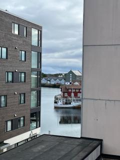 Svolvær, Lofoten, modern apartment and northern lights - 5