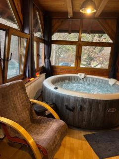 Krivaja River Retreat - Jacuzzi, Pool and Basketball - 3