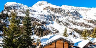 Chalet Les Sources De La Davie - Chalet LES SOURCES de la DAVIE services hôteliers MAE-8981 - 9