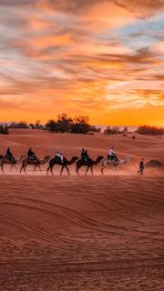 Merzouga DuneNova Luxury Camp - 3