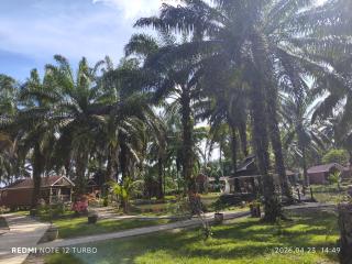 仙本那棕榈湖度假村Palm Lake Resort - 9