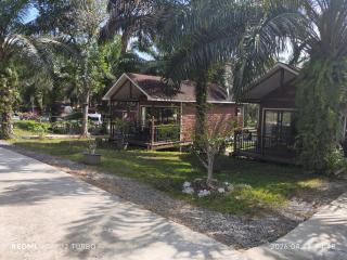 仙本那棕榈湖度假村Palm Lake Resort - 5