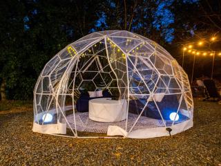 The Starhide - 2