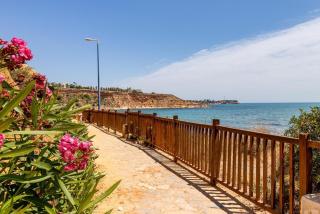 Sunny Haven Caboroig - 5