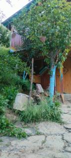 Ambar Cottage - 1